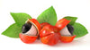 guarana-fruit-seed-closeup